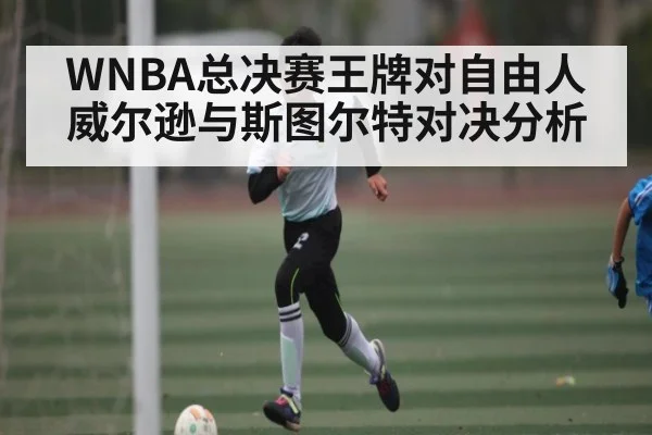 WNBA总决赛王牌对自由人威尔逊与斯图尔特对决分析